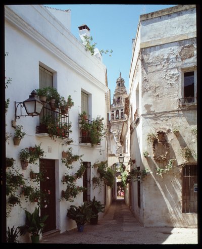 Omayyades（梅斯基塔）大清真寺的尖塔（钟楼），现在的大教堂，从 Calle de los flores””“，科尔多瓦西班牙””（科尔多瓦的 MosqueðCathedral（大清真寺）钟楼或尖塔的视图） 来自街道“”calle de los flores” 作者 学校西班牙语