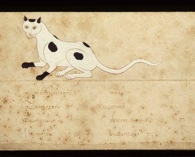 关于暹罗猫的手稿叶片，20 世纪初（纸面水彩画） 作者 泰语学校
