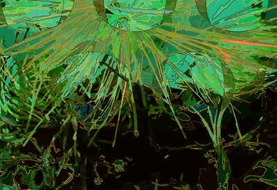 Artichoke_abst_horz2 (digital) 作者 斯科特·戴维斯（Scott J.Davis）