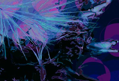 Artichoke_abst_horz5 (digital) 作者 斯科特·戴维斯（Scott J.Davis）