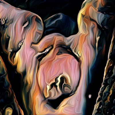 鸟，2021年（数字） 作者 斯科特·戴维斯（Scott J.Davis）