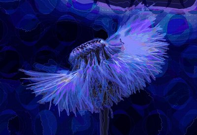 蒲公英, 2019 作者 斯科特·戴维斯（Scott J.Davis）