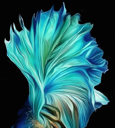 Fan 作者 斯科特·戴维斯（Scott J.Davis）
