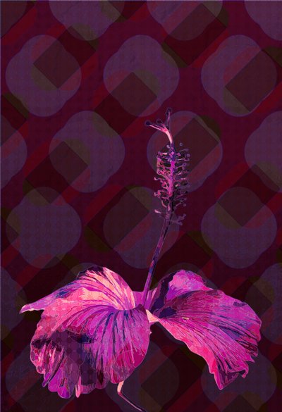 芙蓉3, 2019 作者 斯科特·戴维斯（Scott J.Davis）