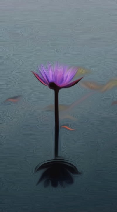 Purple lily 作者 斯科特·戴维斯（Scott J.Davis）