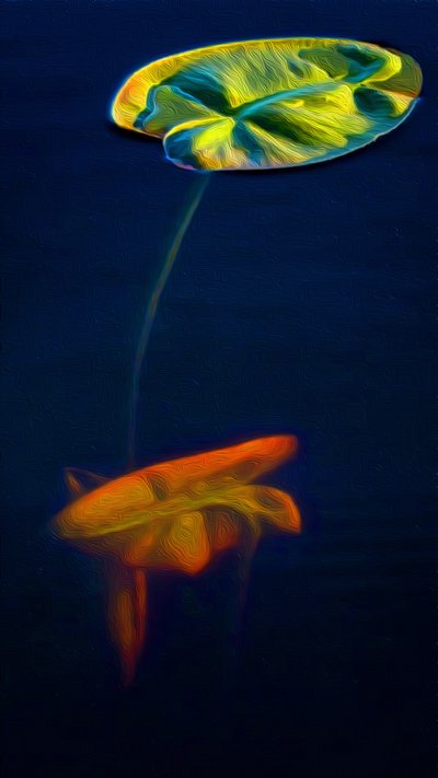 T_Lily3 作者 斯科特·戴维斯（Scott J.Davis）