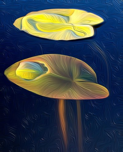 T_Lily 作者 斯科特·戴维斯（Scott J.Davis）