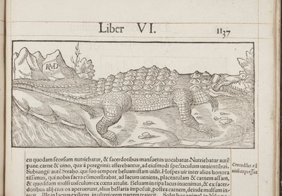 Cosmographia，Fol 1137,1544 作者 塞巴斯蒂安·芒斯特（Sebastian Munster）