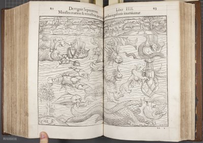 Cosmographia，Fol 852-853,1544 作者 塞巴斯蒂安·芒斯特（Sebastian Munster）