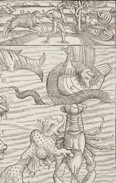 Cosmographia，Fol 853,1544 作者 塞巴斯蒂安·芒斯特（Sebastian Munster）
