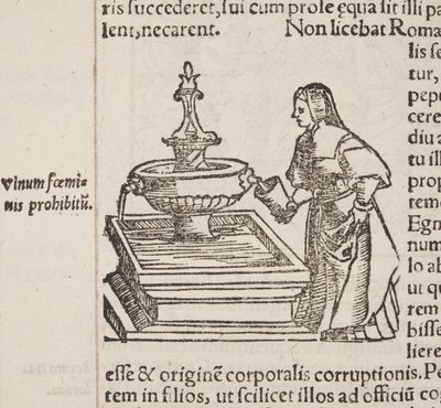 Cosmographia，Fol 202 的细节 作者 塞巴斯蒂安·芒斯特（Sebastian Munster）
