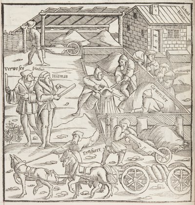 Cosmographia，Fol 436 的细节（雕刻） 作者 塞巴斯蒂安·芒斯特（Sebastian Munster）