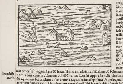 Cosmographia, detail of Fol 516 作者 塞巴斯蒂安·芒斯特（Sebastian Munster）