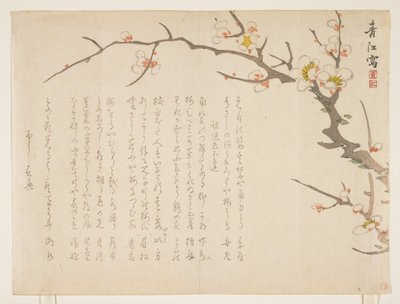开花李子，1837年1月（彩色木版画） 作者 桥本精