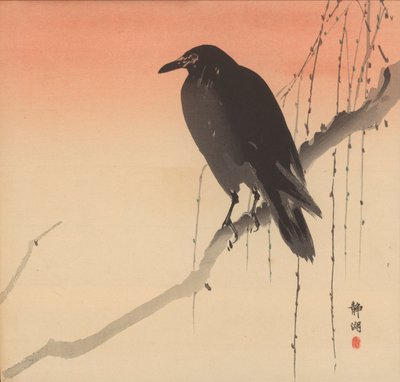柳树枝上的黑乌鸦 作者 奥原精子