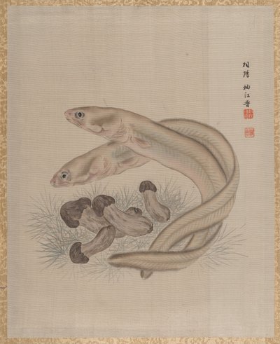 鳗鱼，约1890-92。 作者 关修子
