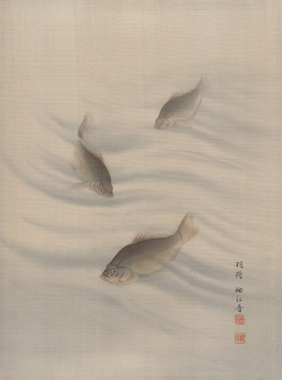 鱼类游泳，约1890-92年。 作者 关修子
