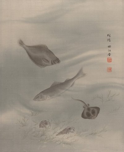 鱼类，约1890-92。 作者 关修子