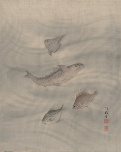 鱼类，约1890-92。 作者 关修子