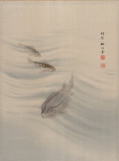 鱼类，约1890-92。 作者 关修子