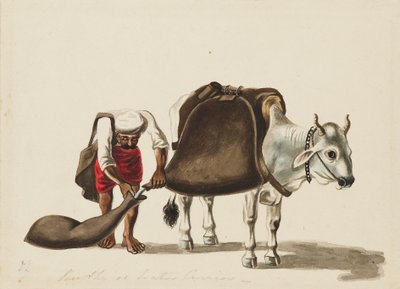 运水车，约1810年 作者 塞瓦克·拉姆（Sewak Ram）