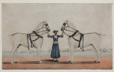 牵着两匹马车的 Syce（新郎），c.1845（不透明水彩纸本） 作者 Karraya 的 Shaik Muhammad Amir (attr. to)
