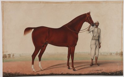 马和新郎，约1840年 作者 Karraya的Shaik Muhammad Amir