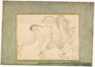 骆驼和新郎，单页插图，约1545-1576。 作者 谢赫·穆罕默德（Sheikh Muhammad）