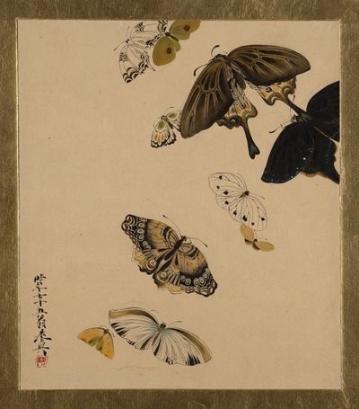 各种题材的漆画：蝴蝶，作于1881年。 作者 Shibata Zeshin