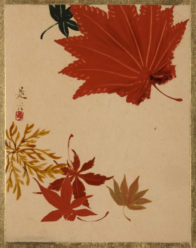 枫叶。 作者 Shibata Zeshin
