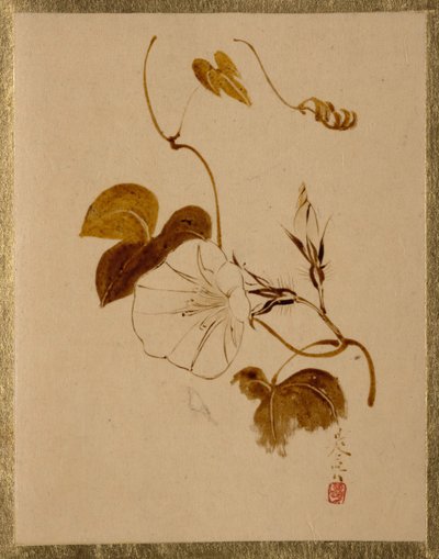 喇叭花。 作者 Shibata Zeshin
