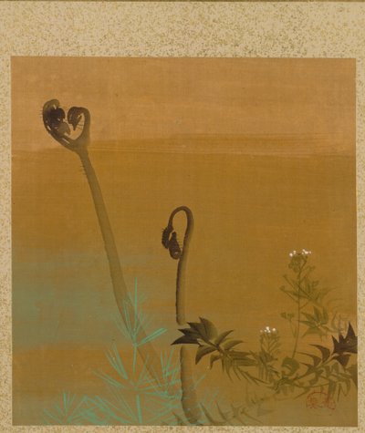 泽信法师画册中的新蕨类植物 作者 Shibata Zeshin