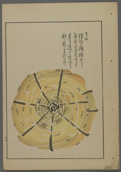 日本玩具，来自Shimizu Seifu，1891-1923的Unai no tomo（A Childs Friends）。绳轮风车。 作者 清水清风