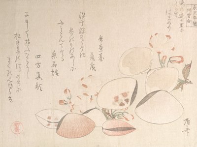 Cherry Blossoms and Shells, 19th century. 作者 心斋