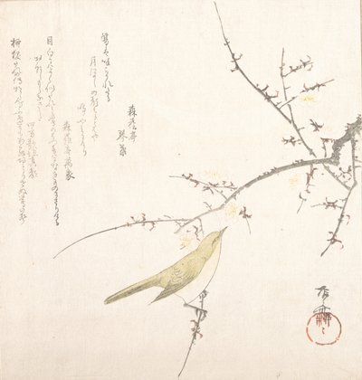 New Moon, Nightingale on a Plum Branch, 19th century., 19世纪。 作者 心斋