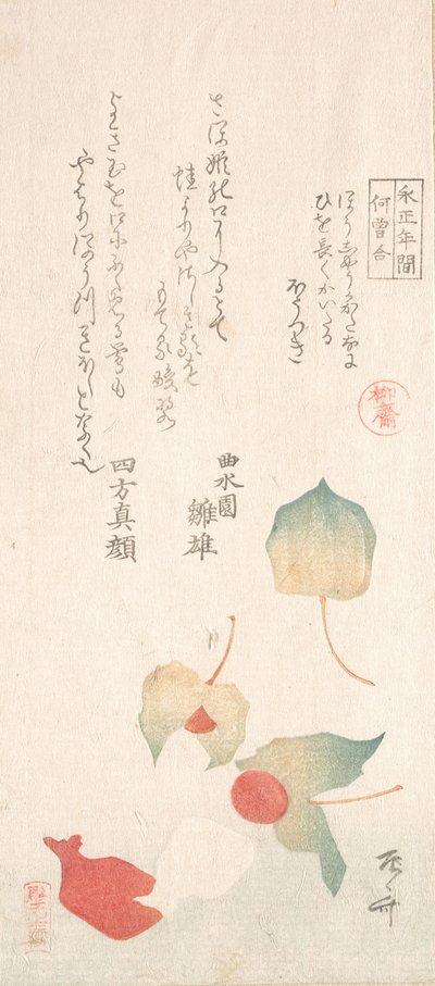 冬季樱桃。 作者 心斋