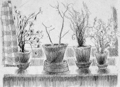 窗台上的死亡植物，1952年。 作者 雪莉·马卡姆