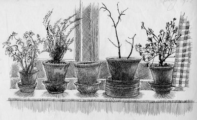 窗台上的死亡植物，1952年。 作者 雪莉·马卡姆