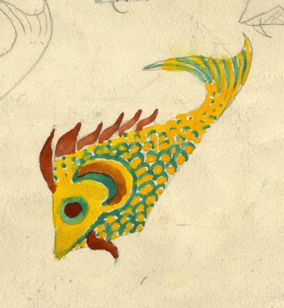 鱼类插图，约1950年。 作者 雪莉·马卡姆