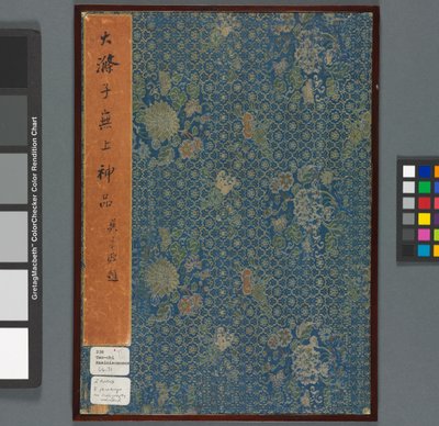 清代秦淮河的回忆（纸本设色） 作者 石涛道记