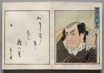 演员肖像相册》中的叶片 作者 升草斋