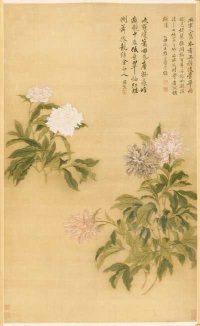 牡丹，挂轴 作者 寿云