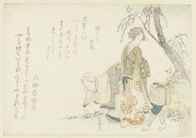 采集春天的七种草药 作者 修乐