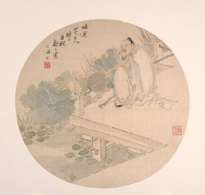 欣赏荷花。 作者 舒豪