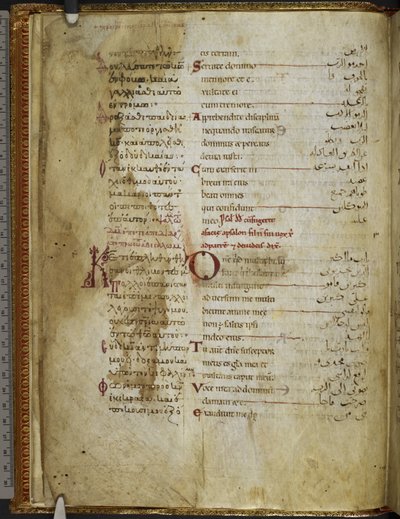 哈雷 MS 5786 f.2v 三语诗篇。Rahlfs 174，约 1130-54 年（牛皮纸） 作者 西西里学校