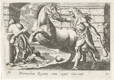 赫拉克勒斯驯服狄俄墨得斯的马匹
Diomedem Regem cum equis（物体上的标题）
大力士主题（系列标题） 作者 安东尼奥·坦佩斯塔