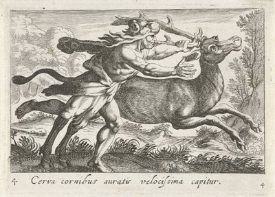 赫拉克勒斯捕获雌鹿 Cerynea
Cerva cornibus auratis velocissima capitur（物体上的标题）
大力士主题（系列标题） 作者 安东尼奥·坦佩斯塔