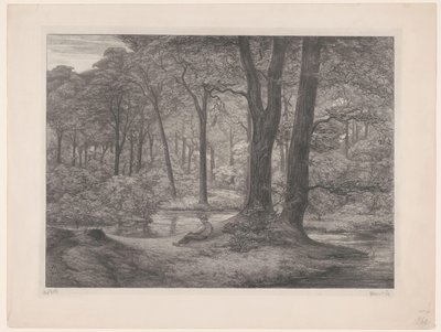 有池塘和躺着的人的森林
特奥托堡森林（林地场景）（原标题） 作者 Simon Moulijn（艺术家签名）