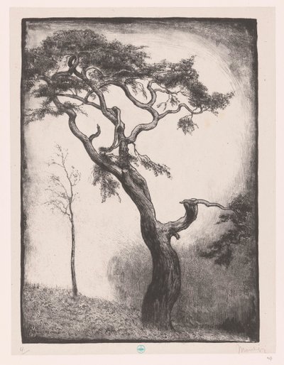松树 作者 Simon Moulijn（艺术家签名）