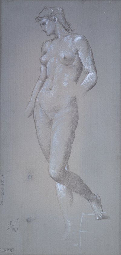 安东尼娅，1877年 作者 爱德华·科利·伯恩·琼斯爵士